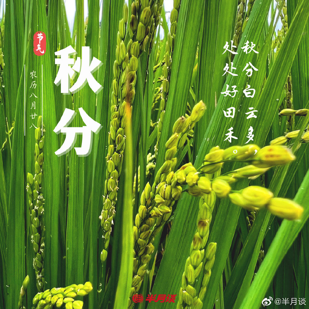 秋分7 太阳城娱乐